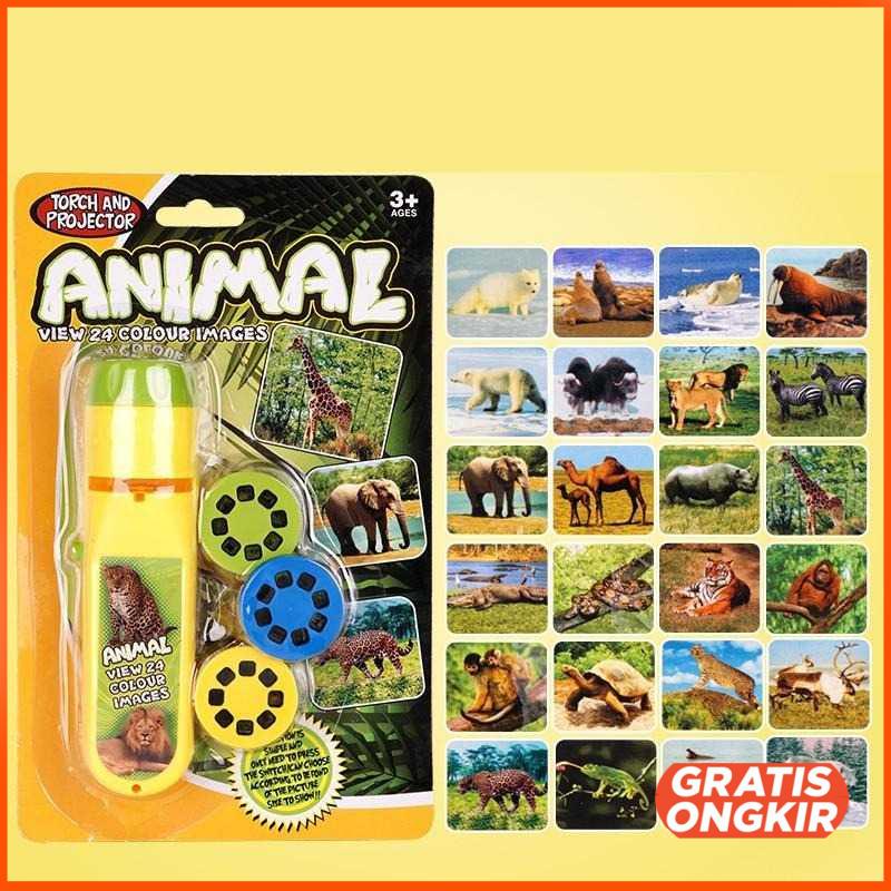 Mainan Anak 4 in 1 Projector Flashlight Animal Series LTC726