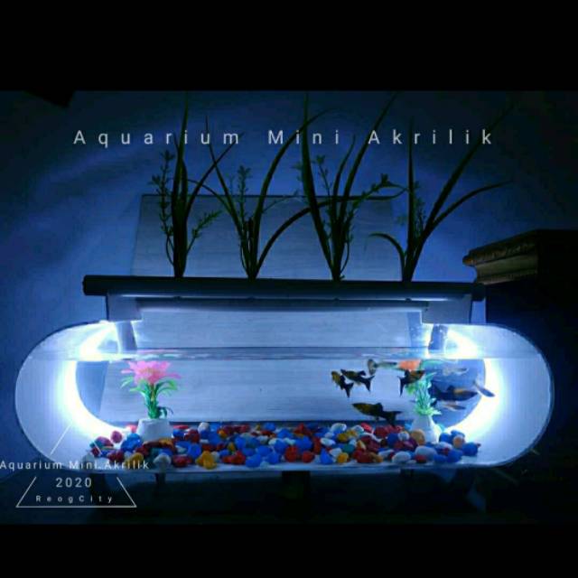 Aquarium mini akrilik ( Lengkap lampu & hiasan)