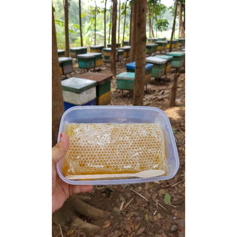500Gr Dus Polos Sarang Madu Murni Asli Alami Melifera honeycomb