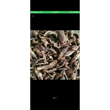 

KERUPUK TERIPANG 1/4