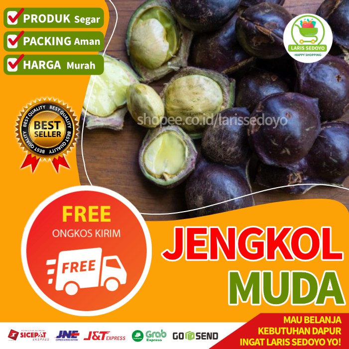 

Jengkol Muda Kulit 500 Gram Sayur Sayuran Jakarta