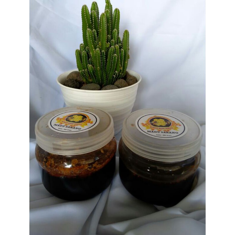 

MADU SARANG HUTAN SINGKUD JAMBI
