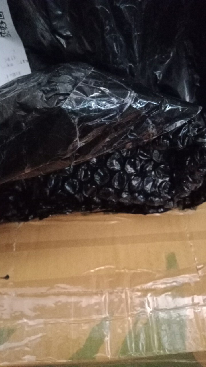 Gunting Bonsai Pruning Daun Akar 2 Warna Murah