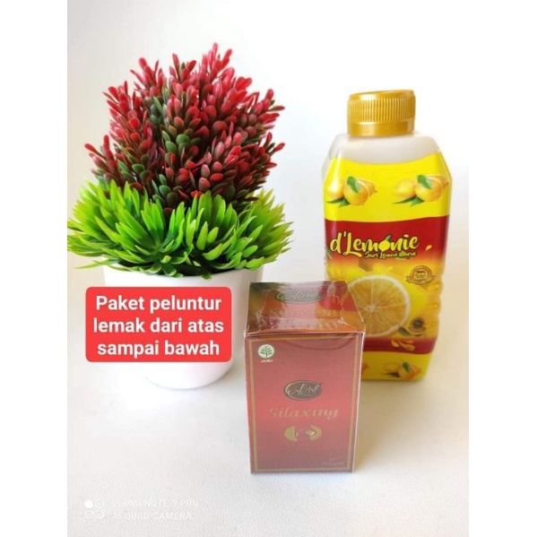 DLEMONIE DAN APEL REGULER - PAKET ADEL REGULER