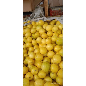 

jeruk lemon california 1kg