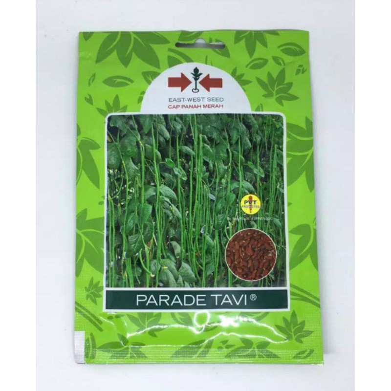 KacangPanjang_ParadeTanvi_CapPanahMerah