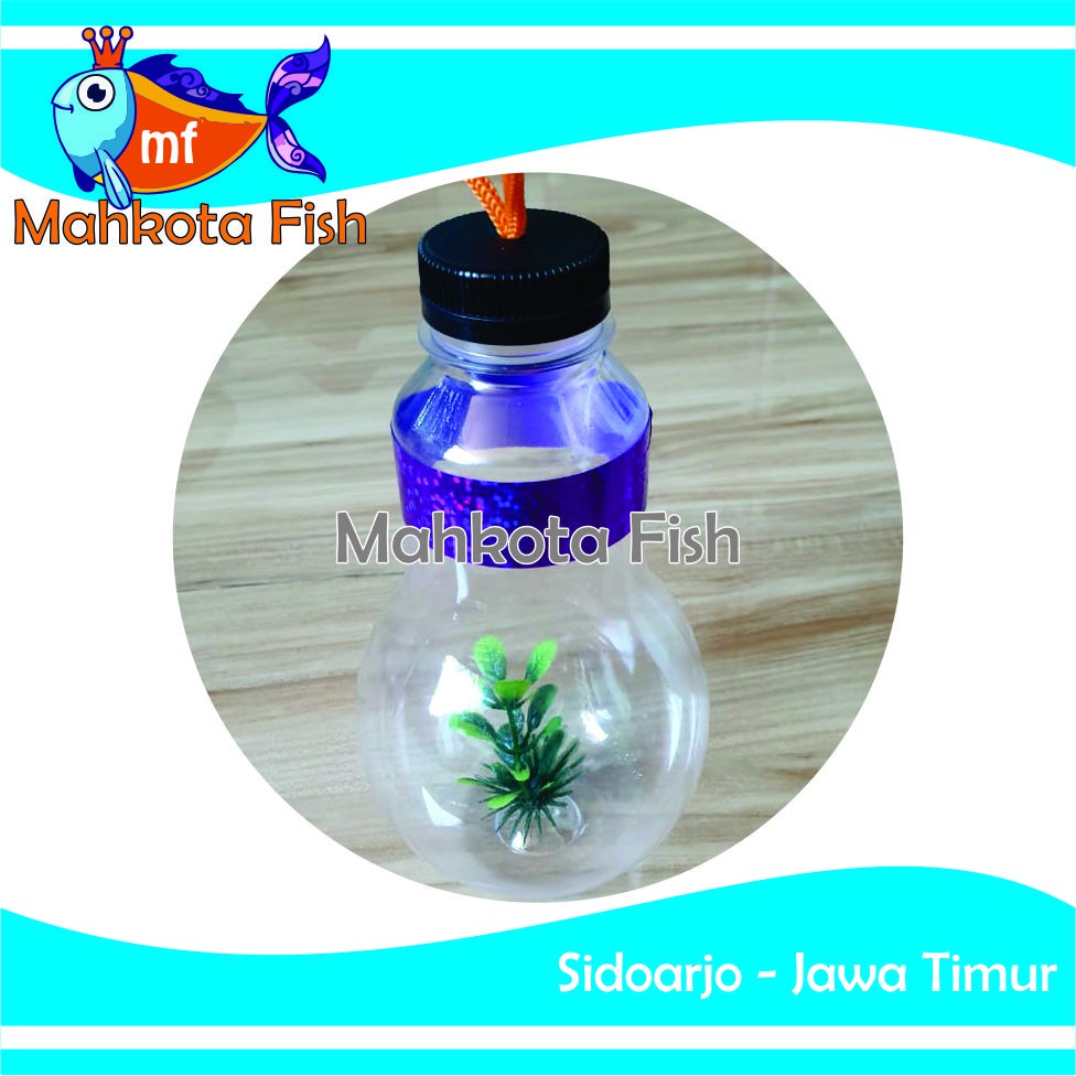 Botol Ikan Hias | Botol Cupang | Botol Mini