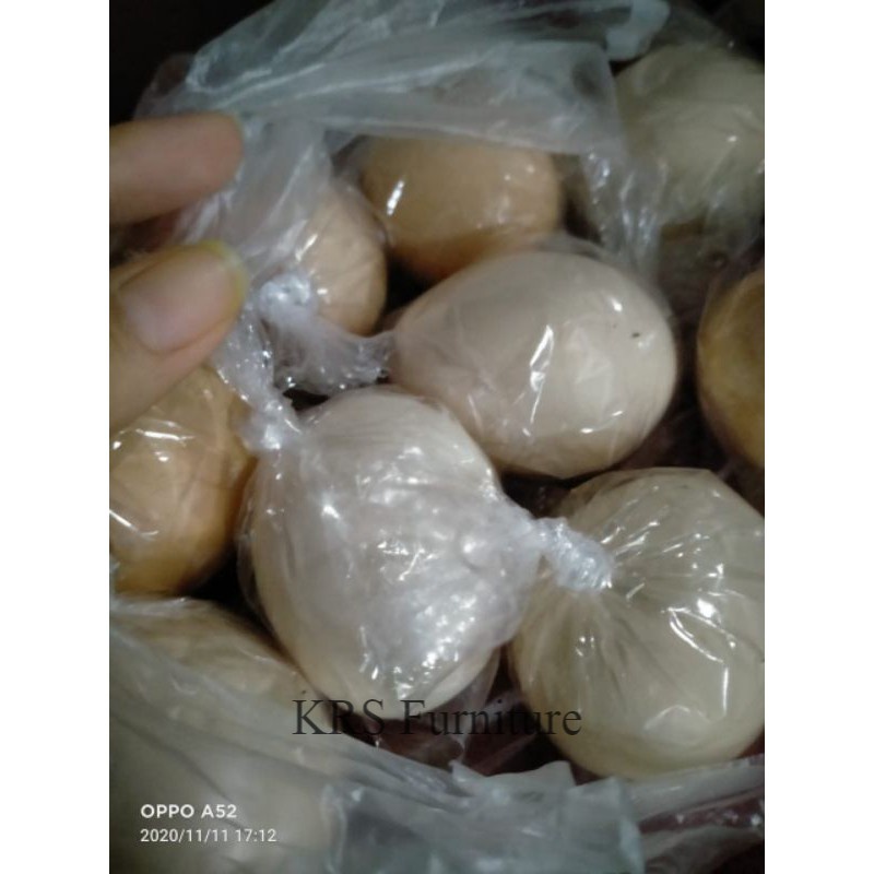 

KRSFurniture - Telur Ayam Kampung Fertil Bisa Netas