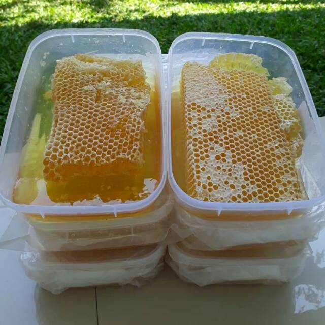 Jual Sarang Lebah Madu Enak Lezat Istimewa Di Lapak Abu Xulaiman Bukalapak