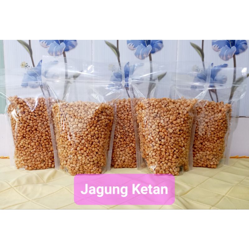 

JAGUNG_KETAN