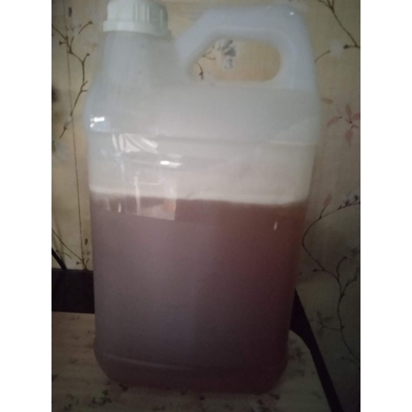 

Madu Akasia Mangium