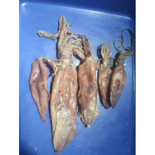 

Ikan asin cumi sotong 1kg