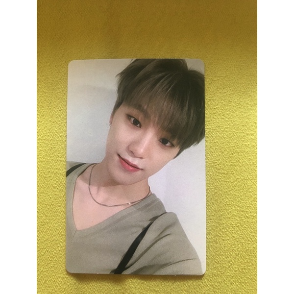 Dino Seventeen Photocard An ode Truth
