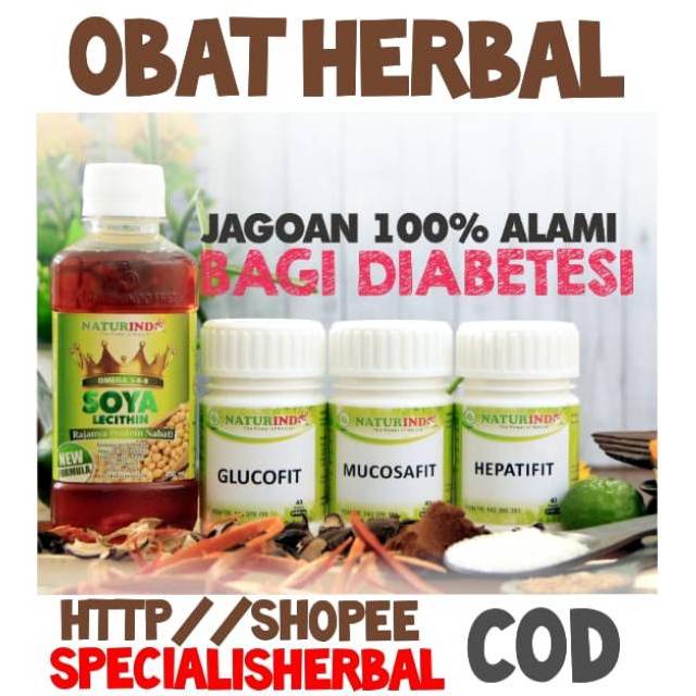 OBAT HERBAL DIABETES, KENCING MANIS, DIABETES GULA DARAH, PENURUN GULA DARAH AMPUH, NATURINDO