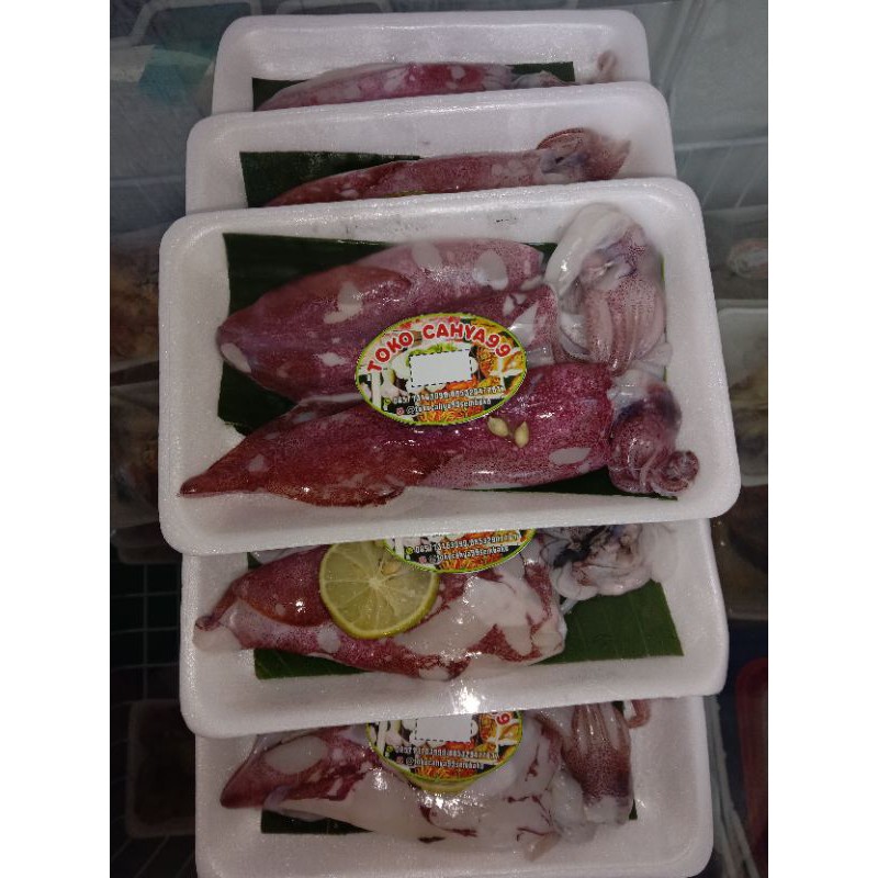 

cumi segar dijual / pck