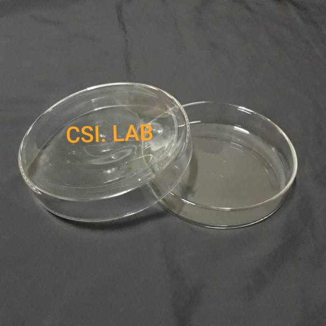 Cawan Petri - Petridish 100 x 15