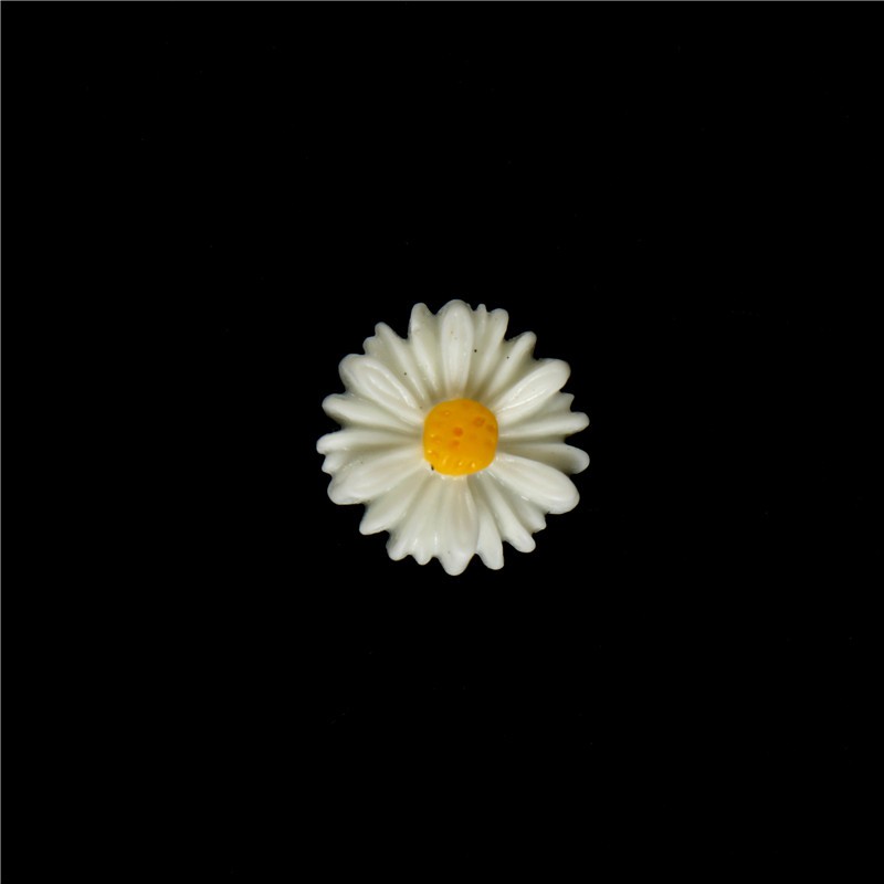 Unduh 1030+ Background Putih Daisy Gratis