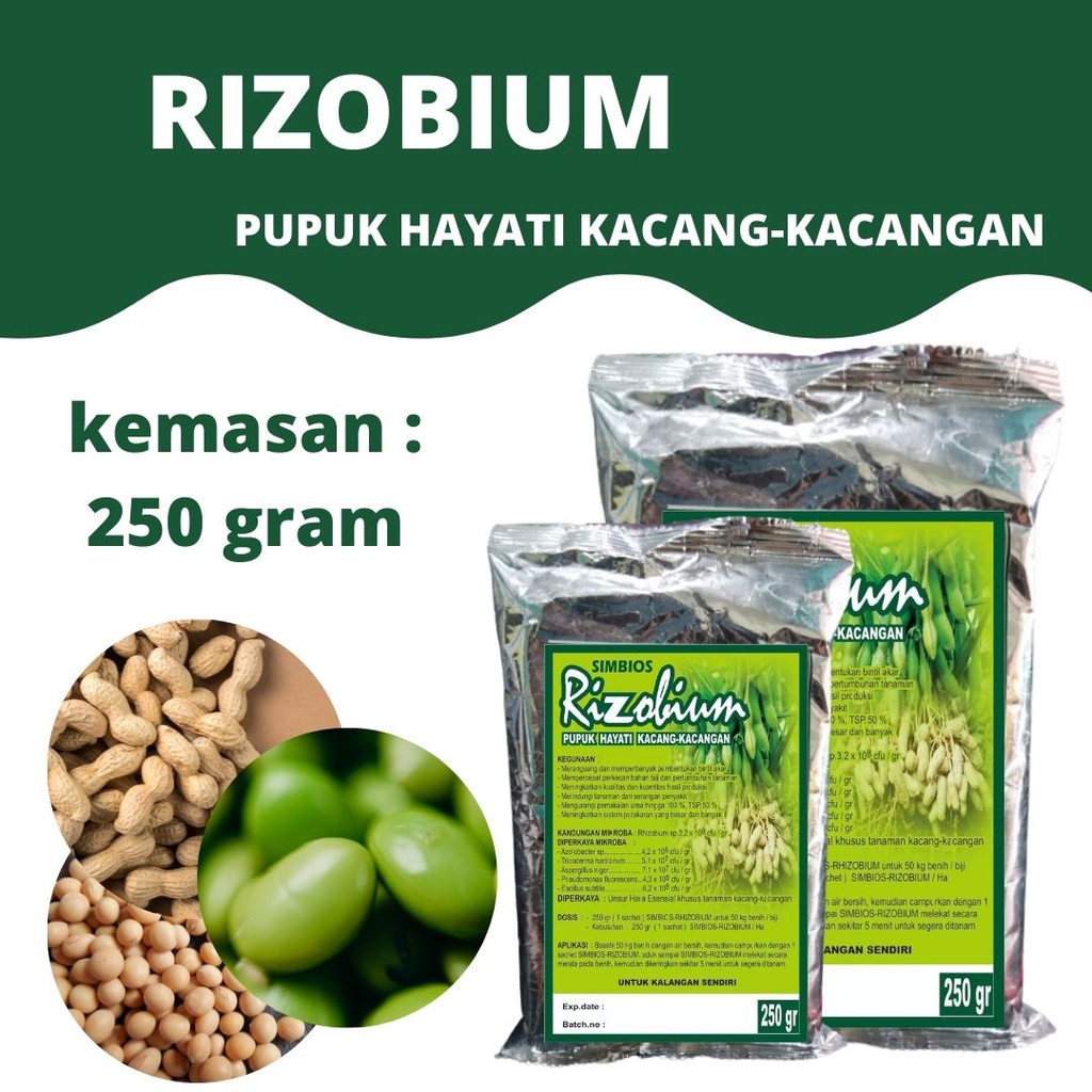 Jual pupuk hayati Rhizobium, pupuk Rhizobium untuk kacang, manfaat ...