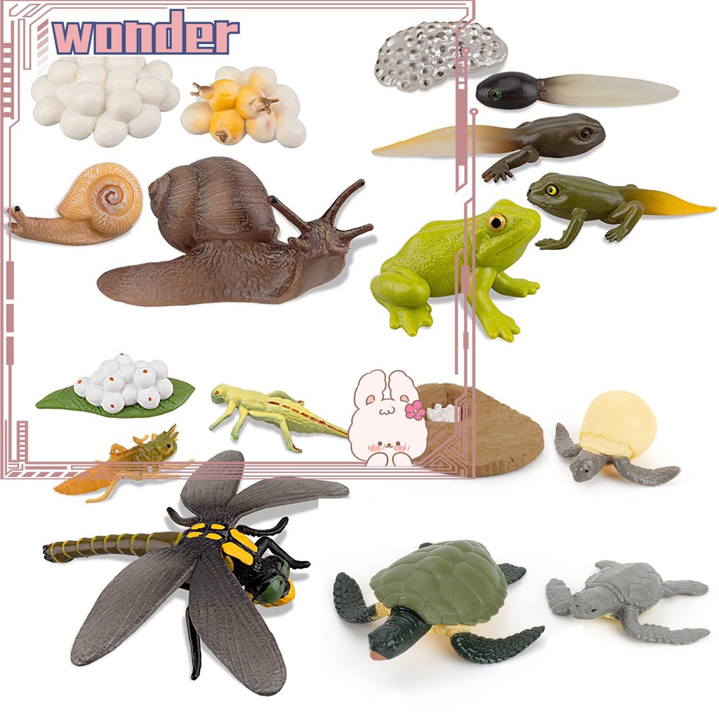 WONDERFUL Kindergarten Teaching Animals Growth Cycle Butterfly Ladybug Figurine Simulation Early Education Life Cycle Kids Toy Chicken Dragonfly Model