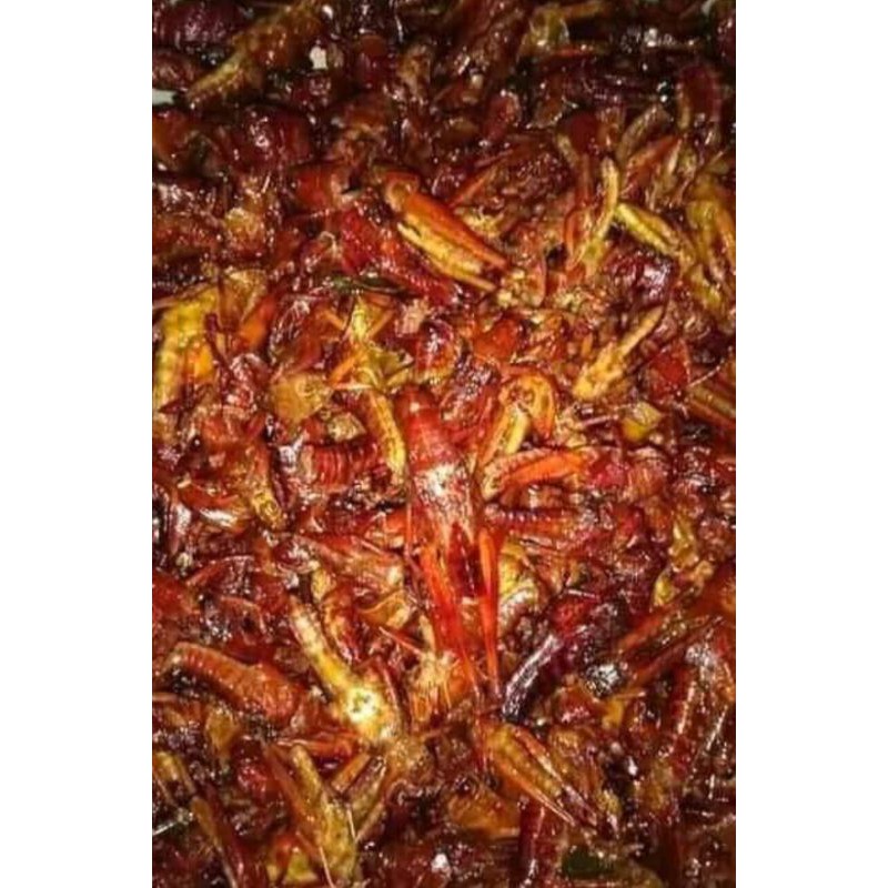 

Belalangkayu1kg