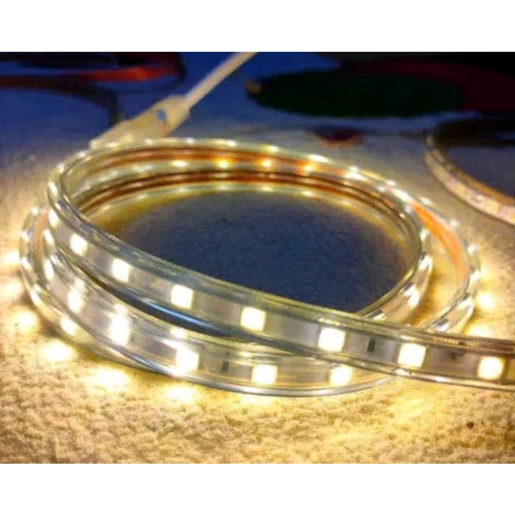 Lampu LED Strip 5050 SMD 100M Full AC 220V free socket 5pcs