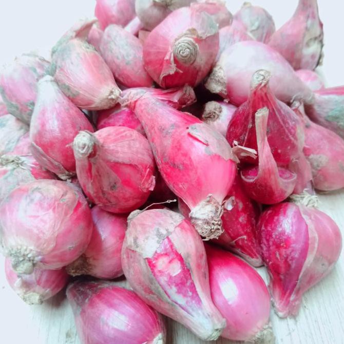 

Promo Awal tahun bawang merah asli berebes 1kg Big Sale