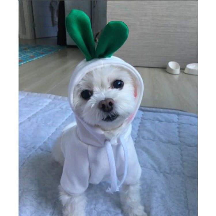 Pet Clothes Baju Hoodie Model Buah Dan Hewan Lucu Menggemaskan  Untuk Anjing Dan Kucing