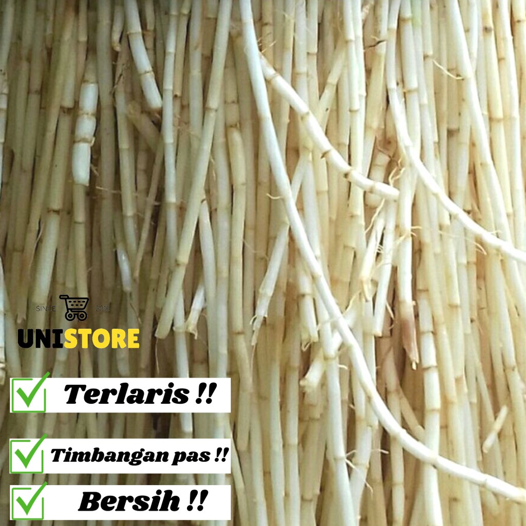

AKAR ALANG ALANG SEGAR 100 GRAM herbal alami