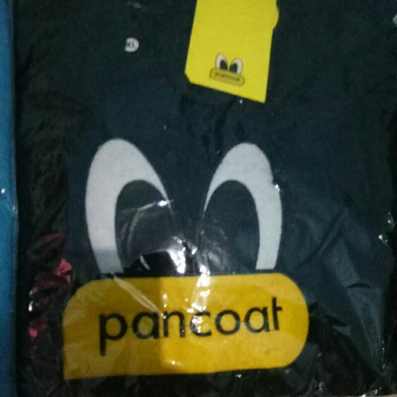 hoodie pancoat new