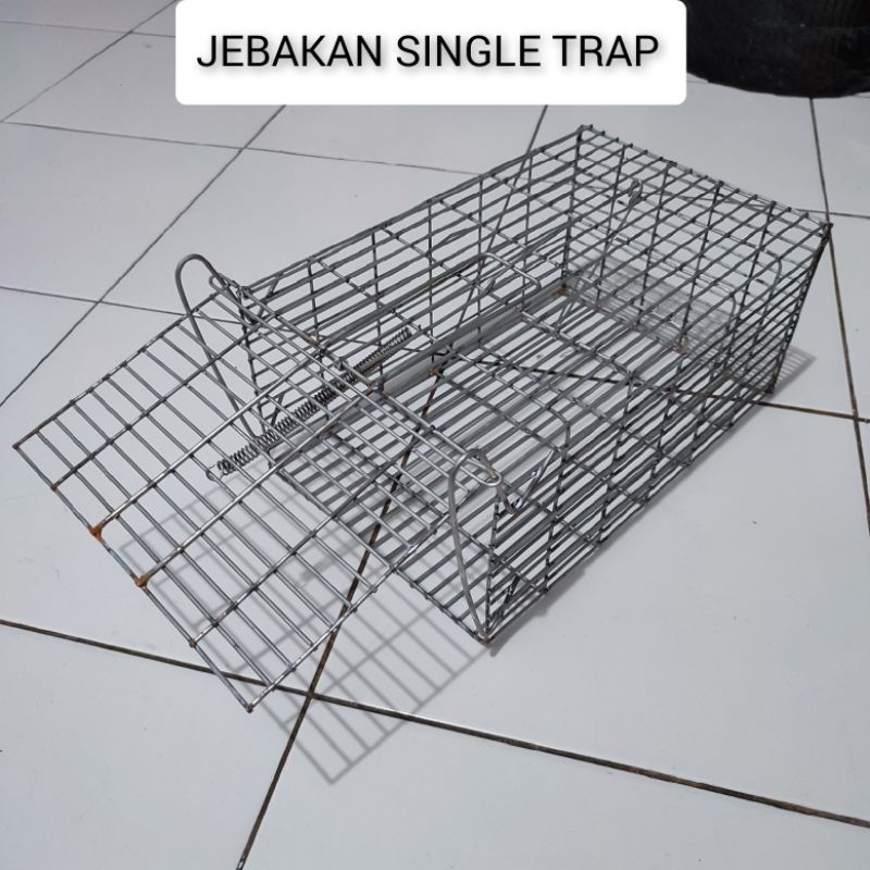 PROMO Jebakan Tikus Besi Perangkap Tikus Besar Tebal Dan Kuat