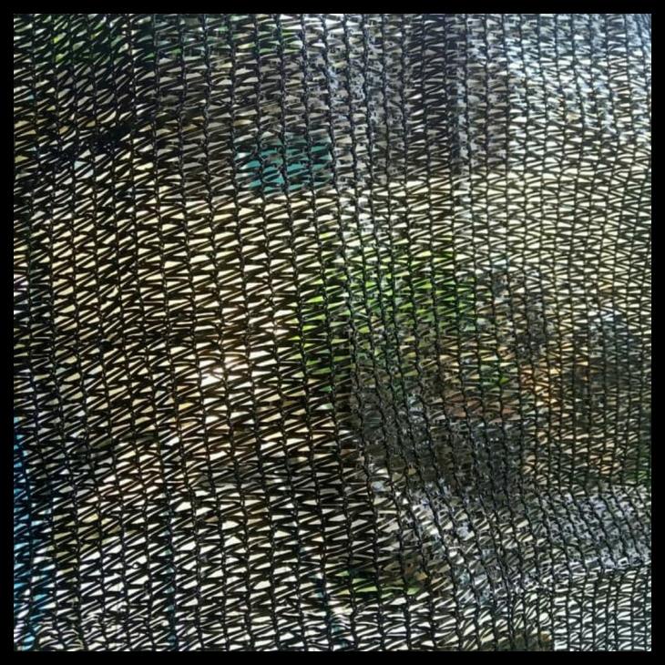 Jaring Paranet 60% Lebar 3 Meter Hdpe Murni 1Roll