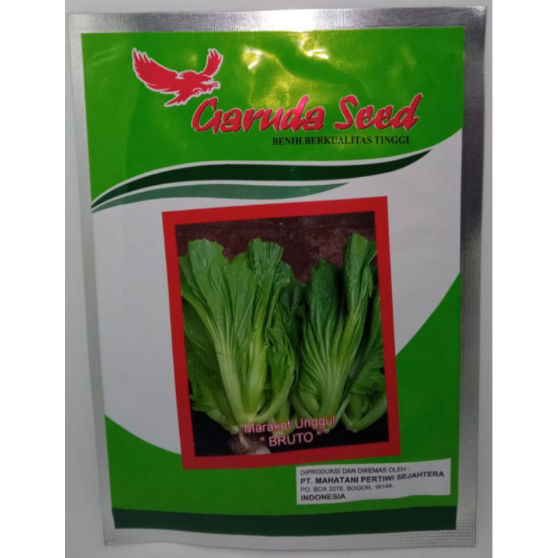 Benih Bibit Sawi Pahit Bruto isi 10 gr | Benih Sawi Pahit Marakot