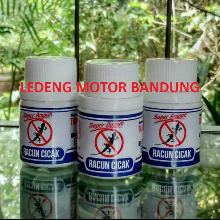 Botol Racun Cicak Tokek Cecak Umpan Siap Pakai Ampuh Pest Control