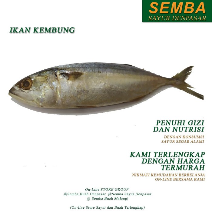

IKAN KEMBUNG KULUNG 1KG seafood DENPASAR BALI sembako bumbu lauk food bahan makanan murah fresh
