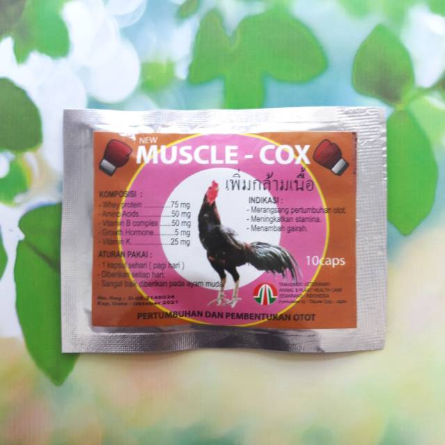MUSCLE COX 10 caps Obat Vitamin Pertumbuhan dan Pembentukan Otot Stamina Protein Asam Amino Hormon