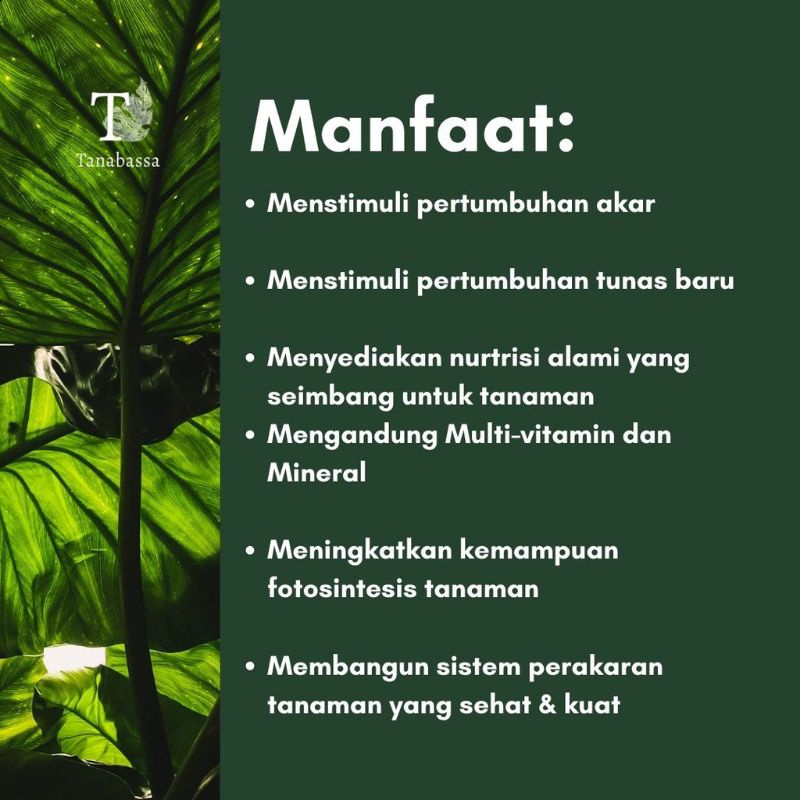 PEMBESAR BUAH NUTRISI TANAMAN FIRM VIGOR DAN FOLIAR OPTI 500ML