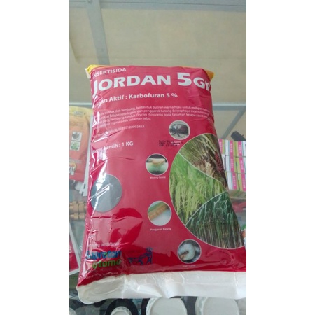 JORDAN 5 GR PAK TANI 1 KG