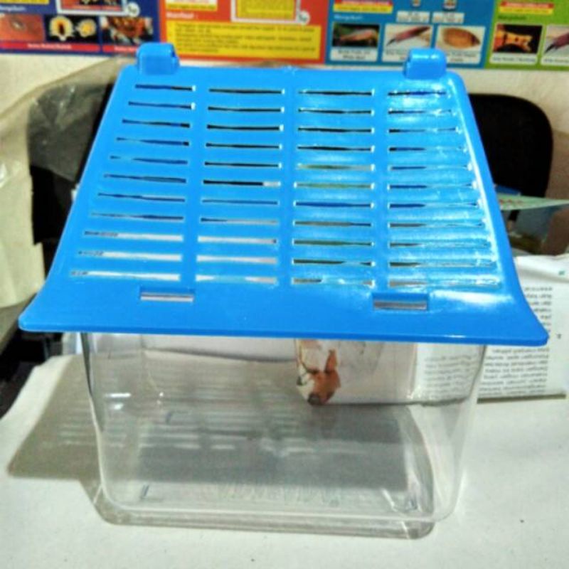 Aquarium kecil kura kura ARMADA PET HOME 01