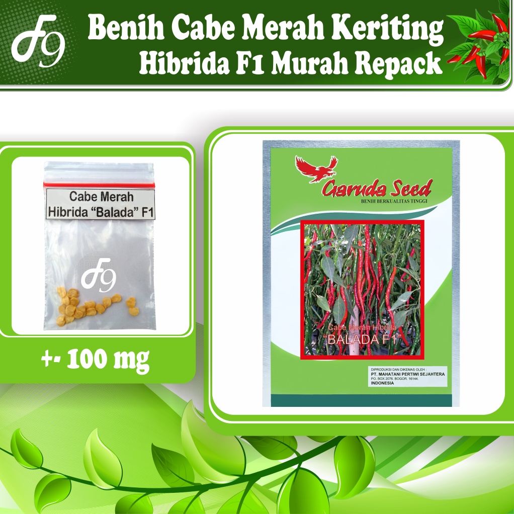 Benih Bibit Cabe Merah Keriting Murah Repack Seribuan