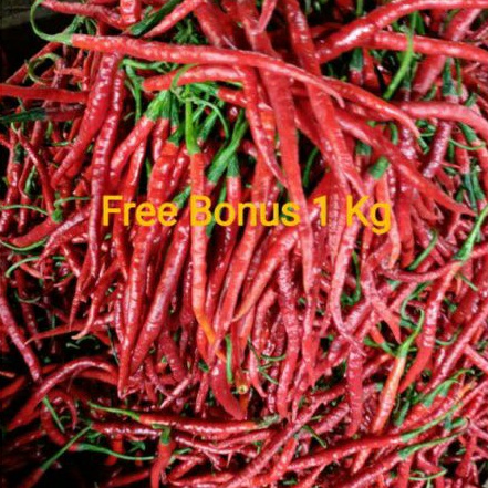 

Cabe Merah Kriting 500gr + Gratis Bonus