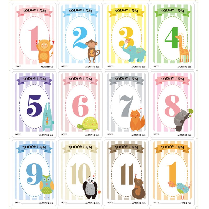 Mary☆ 12 Sheet Baby Monthly Milestone Cards Birth to 12 Months Photo Prop Moment Cards