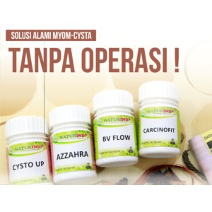 PAKET PENGOBATAN MYOMA / KISTA HERBAL NATURINDO