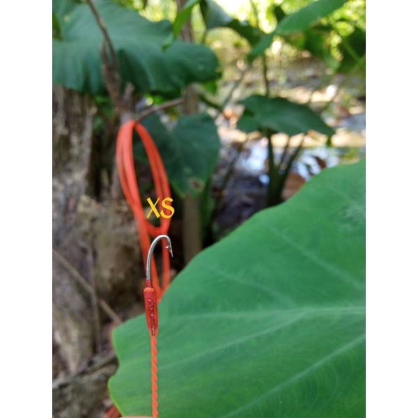 Kail Pancing Belut Urek Belut Sawah Pancingan Belut Baja Kail Parang