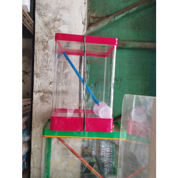 AQUARIUM ES KELAPA