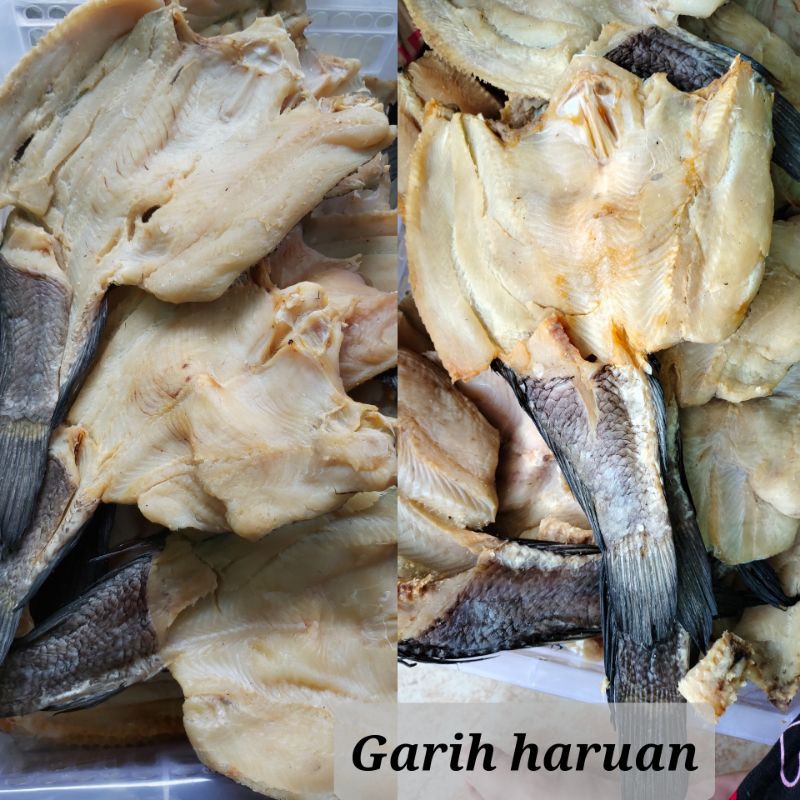 

Gabus/Garih Haruan tawar 500gr