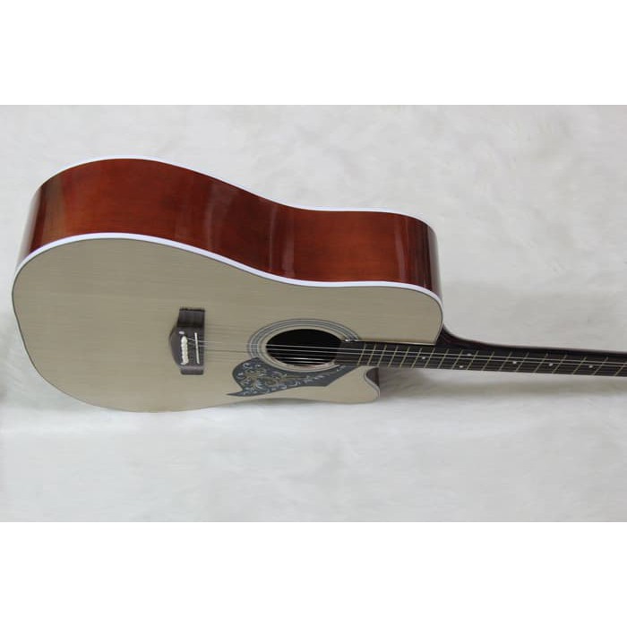 GITAR AKUSTIK PEMULA warna Natural Mahogany F500