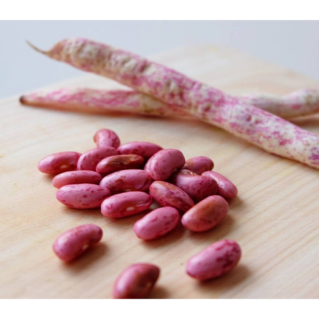 

Kacang Merah Kupas