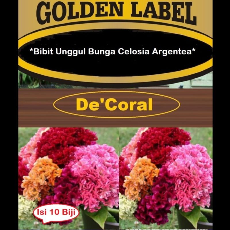Bibit Bunga Celosia Argentea | Benih Bunga Celosia |Bibit Jengger Ayam