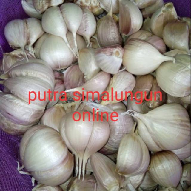 

BAWANG PUTIH KATING 1kg