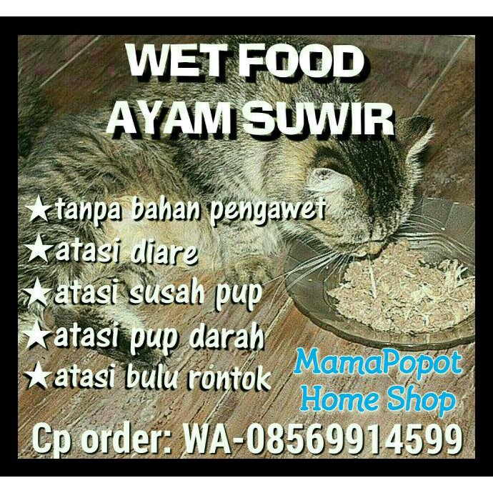 

Paket 3Kg Wetfood Ayam Suwir (20 Bks) Terbaik